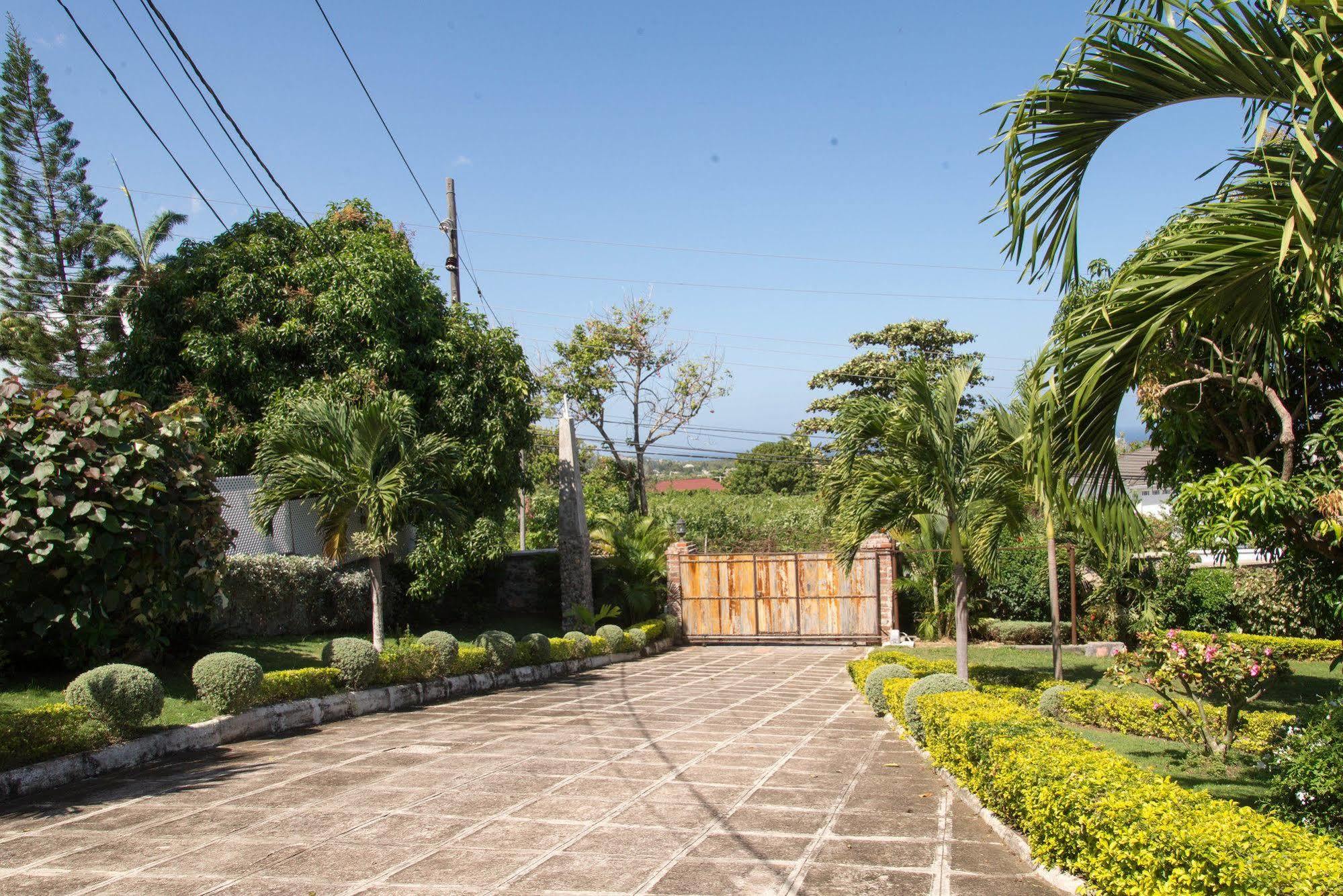 Hatfield South Villa Montego Bay Exterior photo
